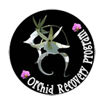 Orchid Recovery Program