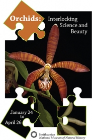 sg-orchids2015