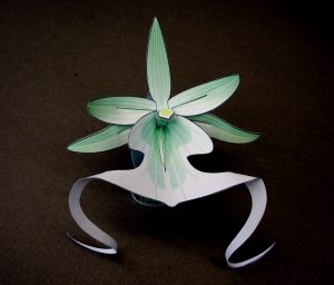 Ghost Orchid orchid-gami