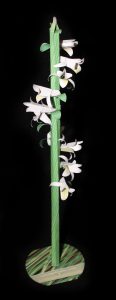 Long Lipped Ladies Tresses orchid-gami