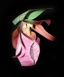 Moccasin Flower orchid-gami