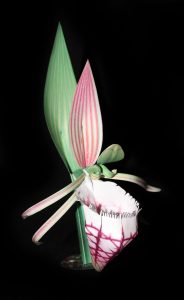 Ram's Head orchid-gami