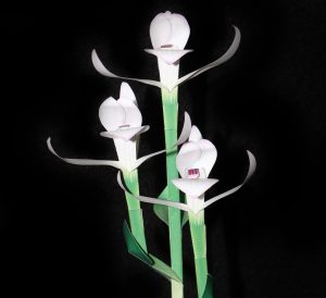 Three Birds orchid-gami