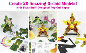 Create 20 Amazing Orchid Models! Boxed Set