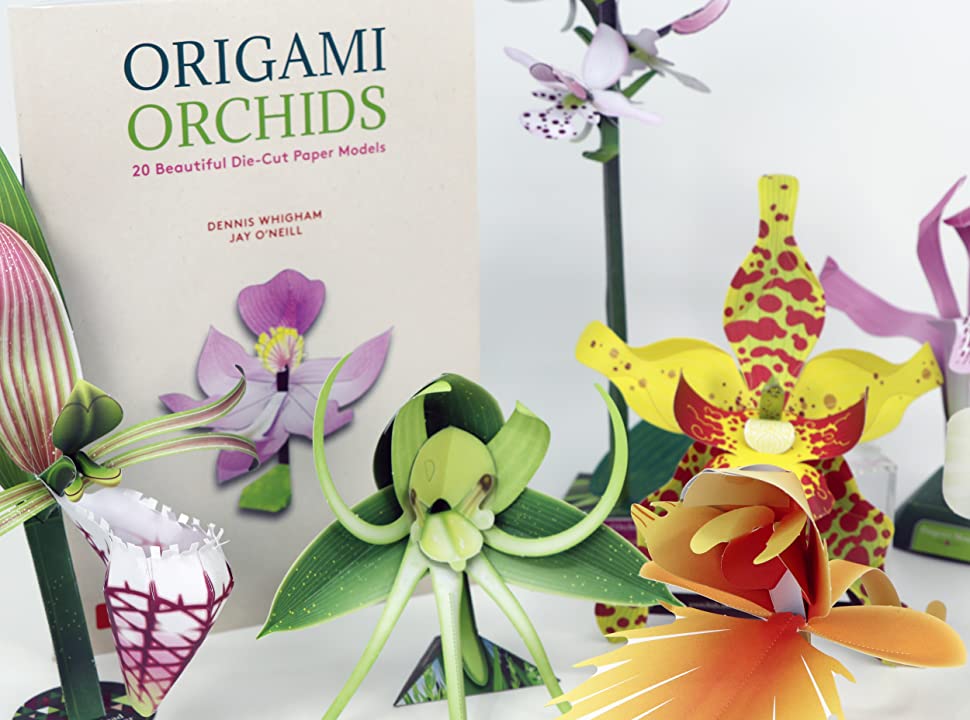 Photo of Orchid-gami book and constructed samples of colorful cutout paper orchids